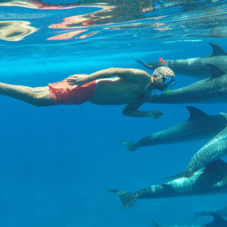 SNORKELING