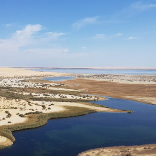 FAYOUM
