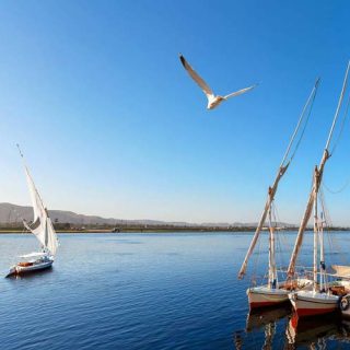 Sunset Felucca Ride