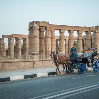 horse and courage luxor