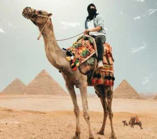 6 Day Cairo and Luxor by Train Tour Package (1)