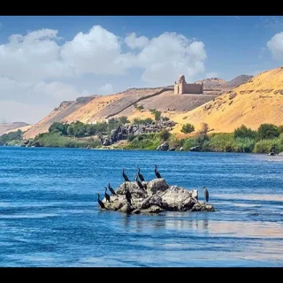 Best Bird Watching Tour in Aswan (1)