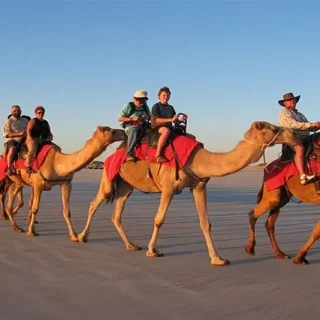 Luxor Camel Ride (1)