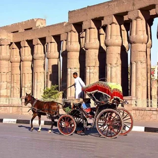 Luxor Horse Carriage Tour Experience (1)