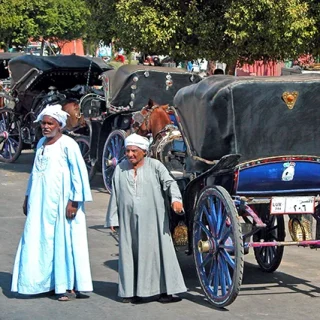 Tour Aswan City in Horse Carriage (1)