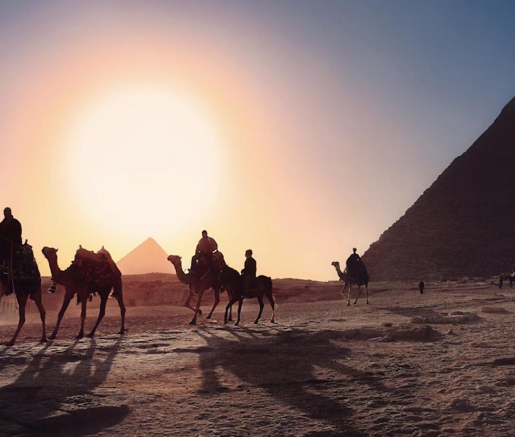 Camel at sunset beside the Giza pyramids before a Nile felucca sail in Cairo