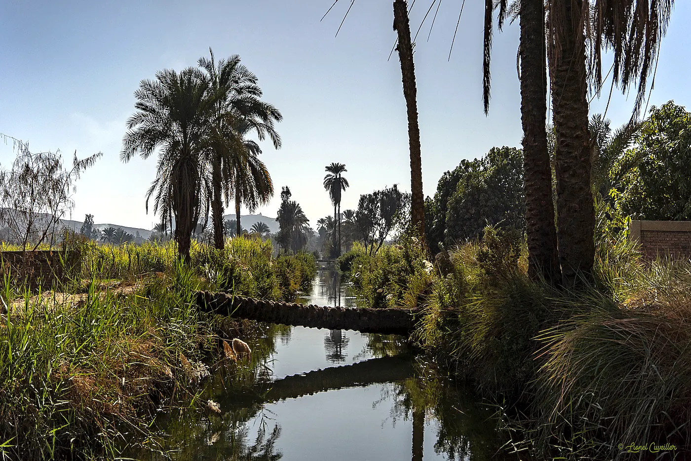 Esna and El-Kab Day Tour