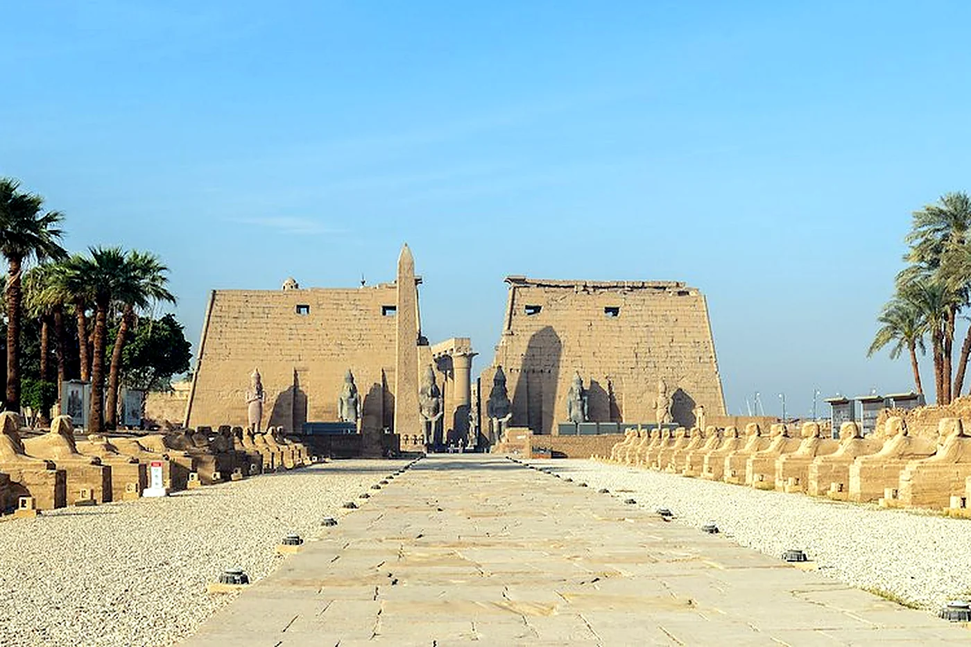 Horse-drawn carriage on the Nile Corniche in Luxor, passing Luxor Temple and the Avenue of Sphinxes